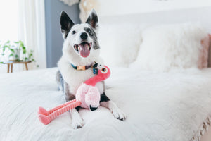PLAY Fetching Flock Flamingo, čaukst, ar 2 pīkstuļiem, garām kājām, 35 cm