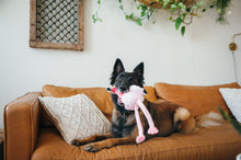 Load image into Gallery viewer, PLAY Fetching Flock Flamingo, čaukst, ar 2 pīkstuļiem, garām kājām, 35 cm
