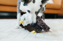 Load image into Gallery viewer, PLAY Fetching Flock Eagle, Ērglis, čaukst, pīkst, atplešami spārni, 11-43 cm
