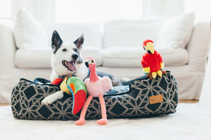 PLAY Fetching Flock Flamingo, čaukst, ar 2 pīkstuļiem, garām kājām, 35 cm