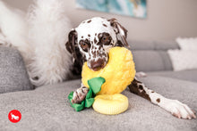 Load image into Gallery viewer, Tropical Paradise Paws Up Pineapple - Ananāss
