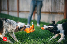 Load image into Gallery viewer, PLAY Holiday Classic Whole Turkey - Tītara cepetis
