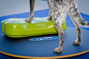 FitPAWS Wobble Board līdzsvara-balansēšanas disks Ø 90 cm