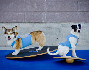 FitPAWS Wobble Board līdzsvara-balansēšanas disks Ø 90 cm