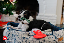 Load image into Gallery viewer, PLAY Merry Woofmas Good Dog Stocking - Zeķe ar kaulu
