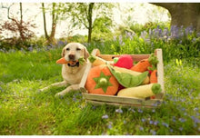 Load image into Gallery viewer, PLAY Garden Fresh Peapod - Zirņu pāksts
