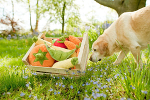 PLAY Garden Fresh Apple - Ābols