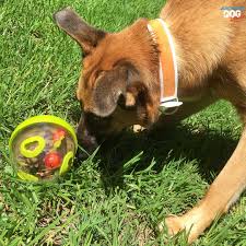 PLAY Wobble Ball Treat Toy - Gardumu spēļmanta sunim