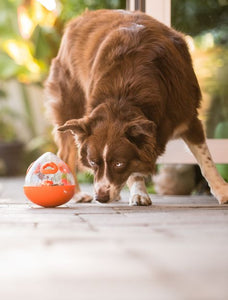 PLAY Wobble Ball Treat Toy - Gardumu spēļmanta sunim