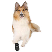 Load image into Gallery viewer, TRIXIE suņu zābaks-zeķe Walker Care Comfort
