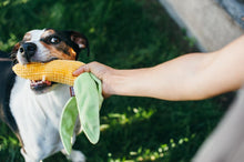 Load image into Gallery viewer, PLAY Garden Fresh Corn - Kukurūza
