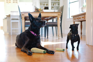 PLAY Garden Fresh Zucchini - Cukini