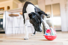Load image into Gallery viewer, PLAY Wobble Ball Treat Toy - Gardumu spēļmanta sunim
