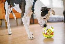 Load image into Gallery viewer, PLAY Wobble Ball Treat Toy - Gardumu spēļmanta sunim
