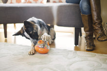 Load image into Gallery viewer, PLAY Wobble Ball Treat Toy - Gardumu spēļmanta sunim
